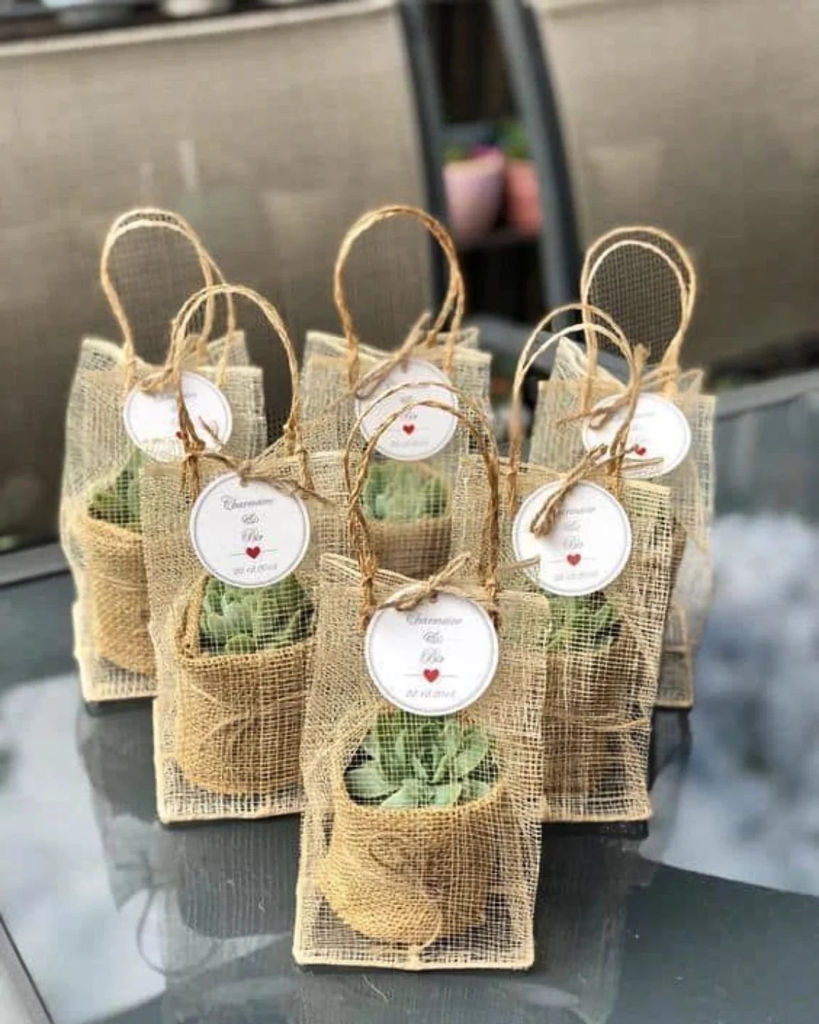 Small succulent plants in burlap pots and mesh bags with white gift tags.